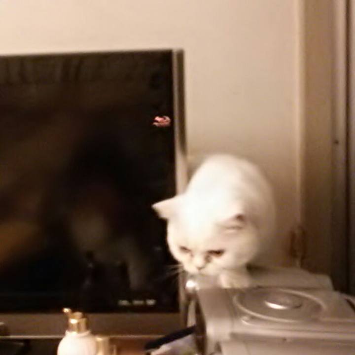 Fc1c828d e5c3 4e50 9ac2 9e10e3e16dcb 1509530071178