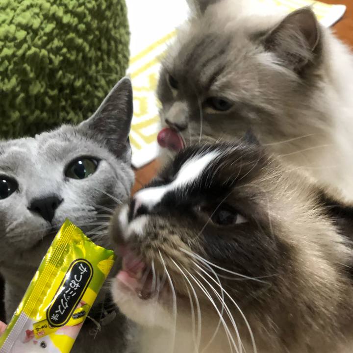 Fc1ca5d0 ddd5 463c 80a4 caaac6734d91 1546126806017