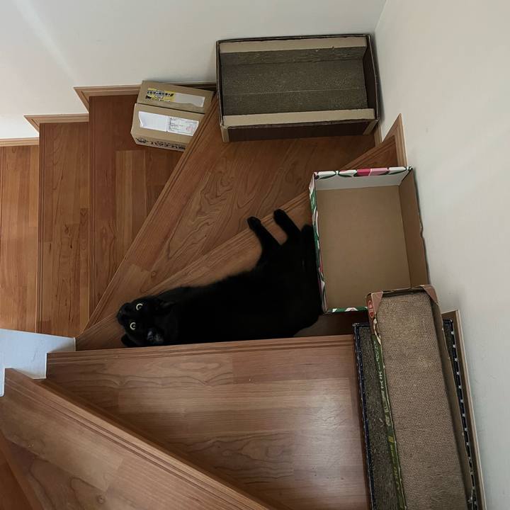 Fc1d8a0d 1f55 4115 bbf4 3483fef28568 1726098140000