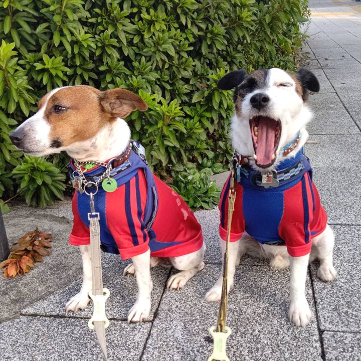 Fc1dd76b 37b0 4eae 81f0 70150ccd593d 1634248462167