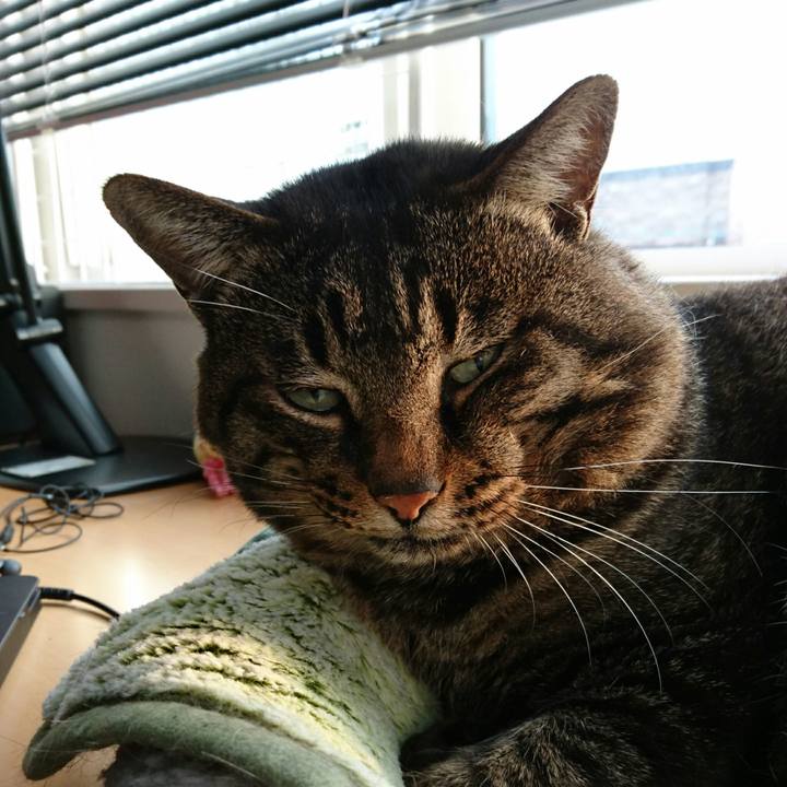 Fc1e1b2b 956a 47ec 8b9b 9531334957d1 1509718593490