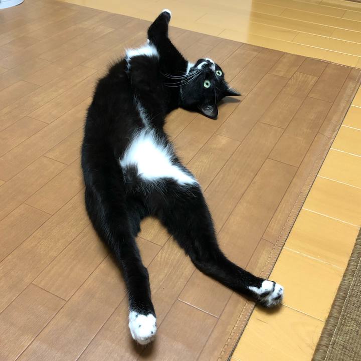 Fc1e20e3 83f7 4810 9f4a b785cbb64f31 1569383218337