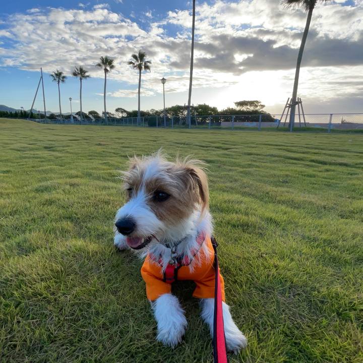 Fc1e5b5d 6048 468f aeaf fdc1fb89cbb9 1758666747306