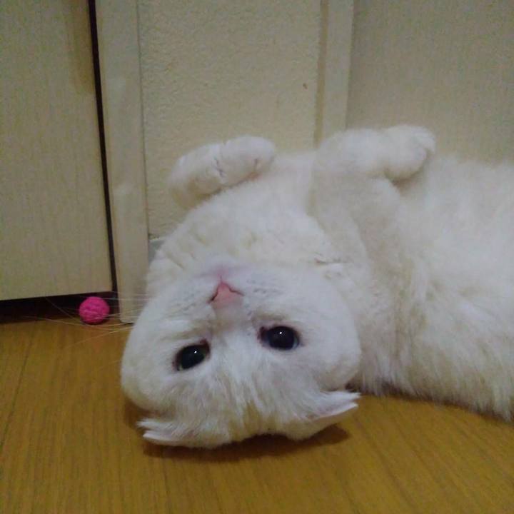 Fc1e5fe1 4ced 4b9f 82da 0695dad9b923 1615643540282