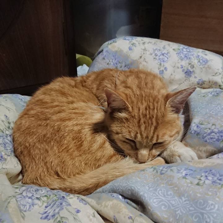 Fc1e82c3 3d99 4b4c 8b9c 9eefa5e3fae2 1590148683361