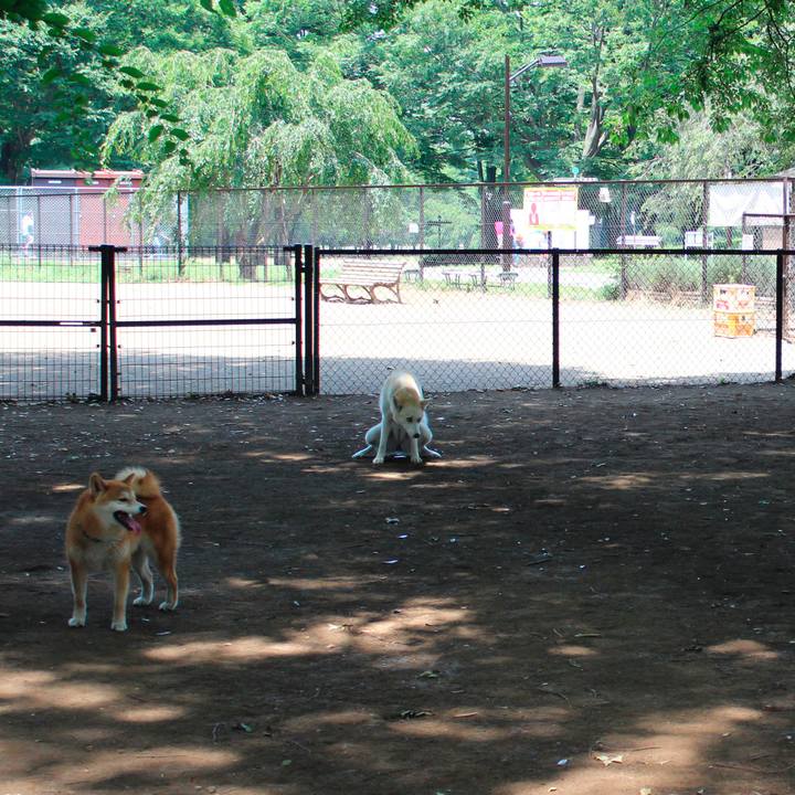 Fc1e84d9 b6e9 462d bfe5 7e8b42ca378b 1536454716491