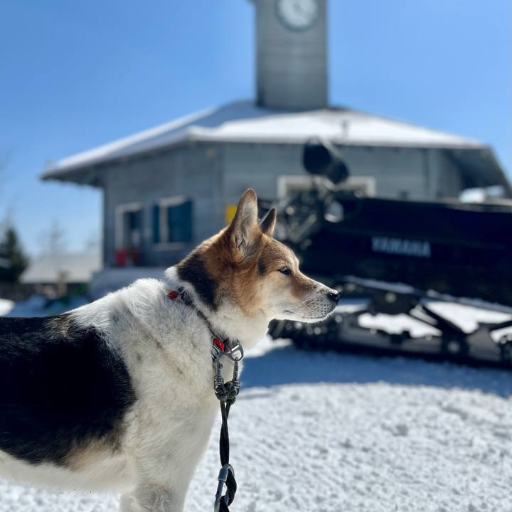 Fc1eb3e5 79d8 43d7 b25b c26f114572d6 1773028220199