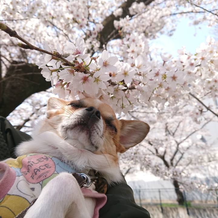 Fc1eb607 f545 4684 8957 97c3c1cbf467 1616817939859