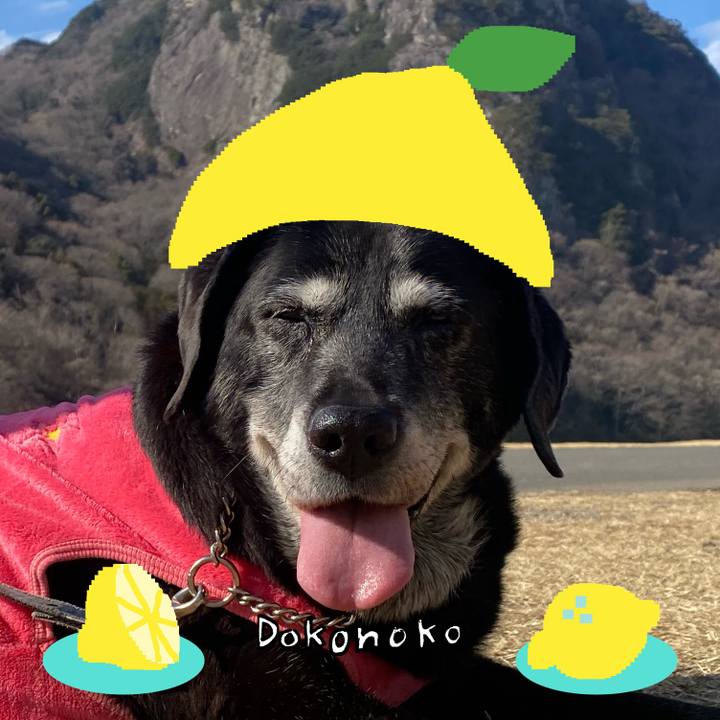 Fc1ec13e 7545 420e b8a7 ee7b0877412e 1741064564266