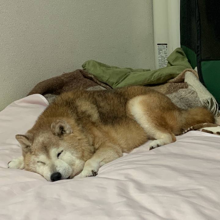 Fc1ec485 e68d 4a45 951c e92e1c93c21b 1694523031678