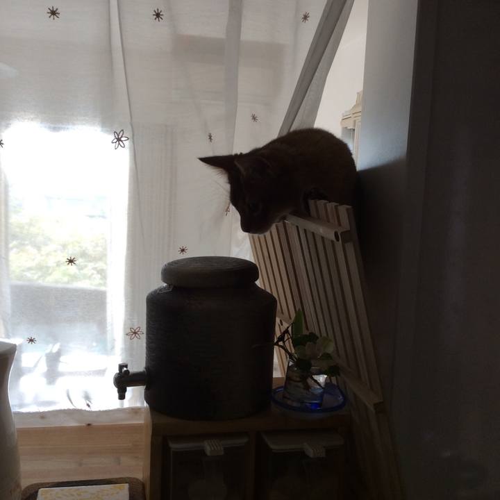 Fc1ee984 0129 428e 867a a0a816883dda 1577436872135