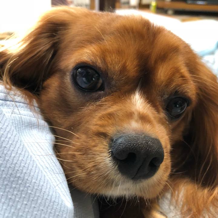 Fc1eeb4d aa5d 4527 a131 c6ce72edfa3b 1539814455457