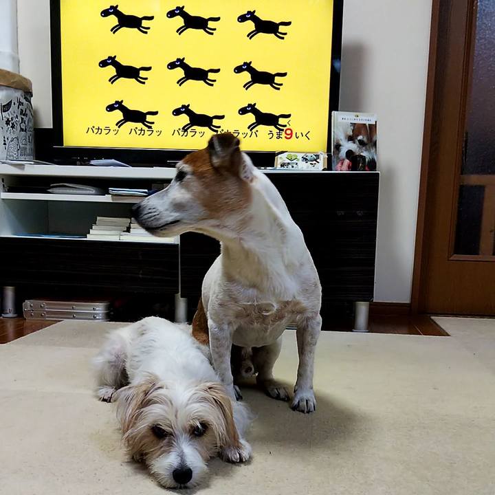 Fc1ef2aa 529f 42f6 bc7c 413ae9104235 1547763443336