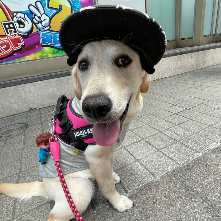 Fc1f194c 1f92 4392 800c befdeedb322d 1623036725988