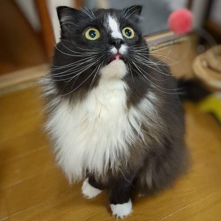 Fc1f54db c183 4e27 8846 150454b17508 1674215132683