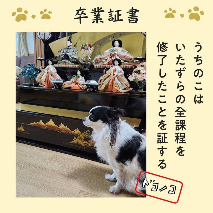 Fc1f7879 1d8d 4495 96ea ec004f9ef562 1771975257439