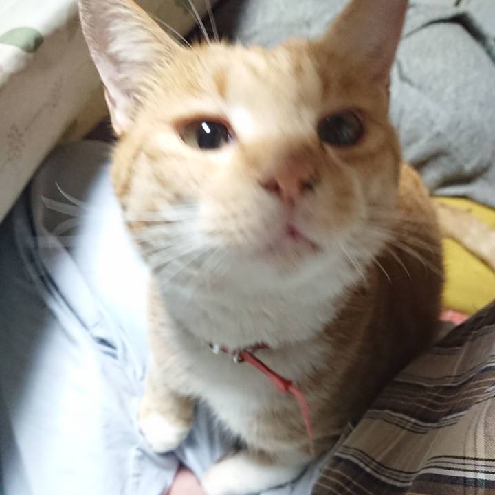 Fc1f87cf 67f0 4dd3 93ac bb0c2c4ae805 1572035872840