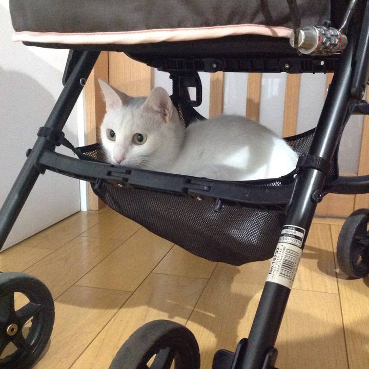 Fc1f8bff 1bee 4e5b 80c0 408b037c30f7 1640574766975