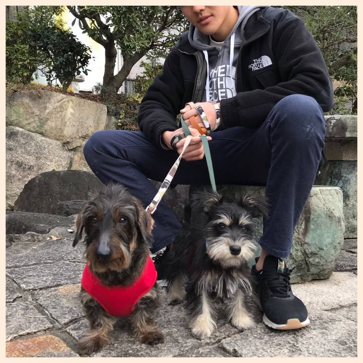 Fc1fb29e a1ce 426e 86a9 467ea9edf4d0 1550403600378