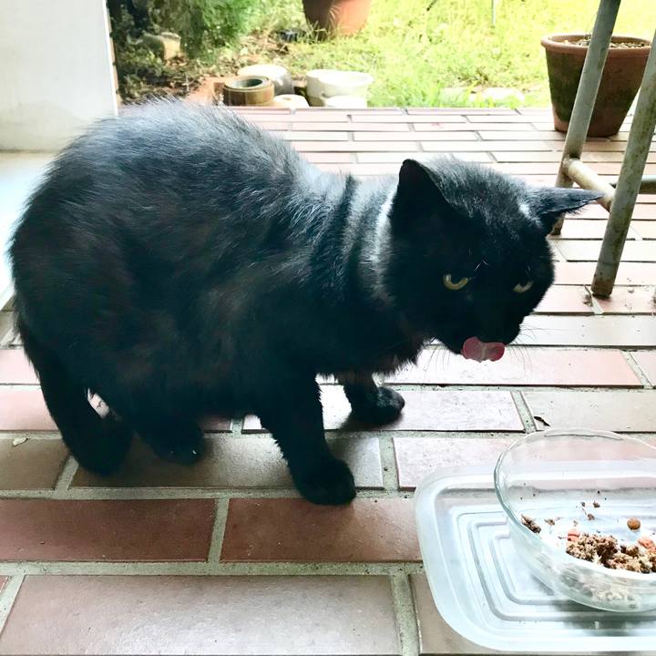 Fc1fb473 a76e 41ee 9362 6d05b5097aee 1509345583690