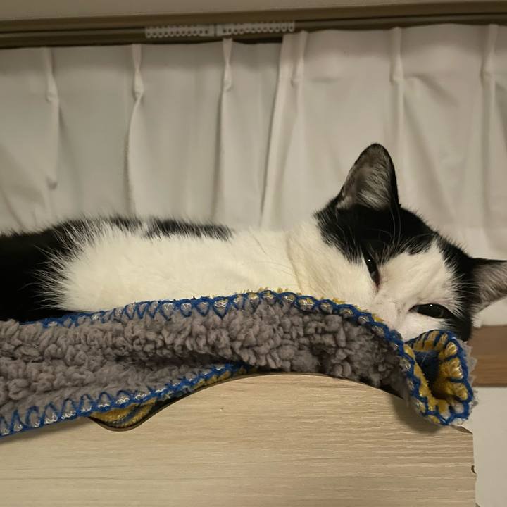 Fc1ff197 a291 4cfd b97f 5aee8cc7c6f9 1706293490365