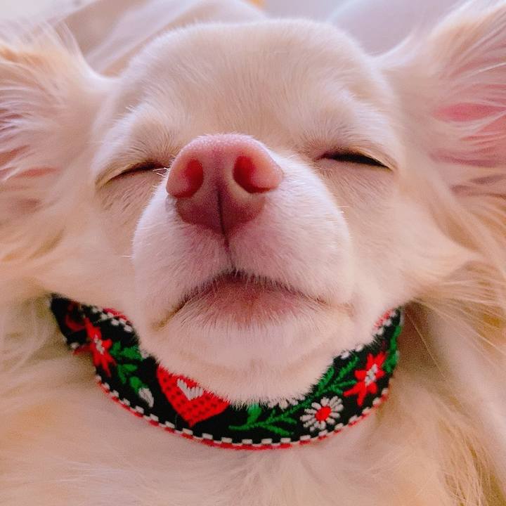 Fc2013e5 d6a8 4b16 a6ee c2e4d7cbef78 1627371444090