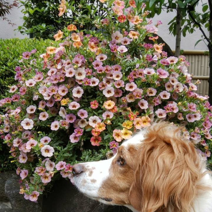 Fc201b62 3db5 4bb9 9f0d 30b310d4749d 1557791045104