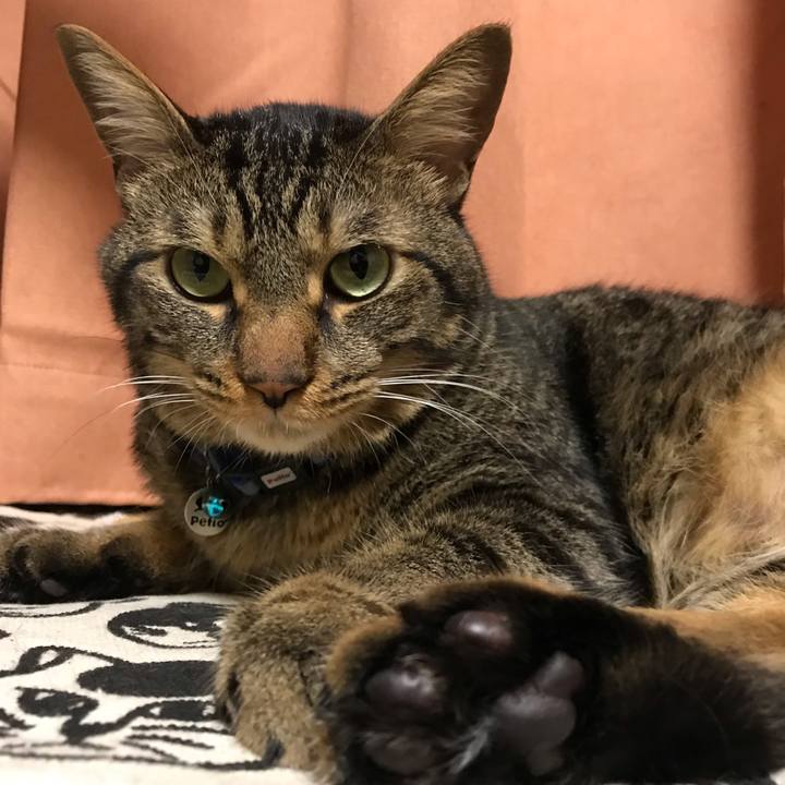 Fc202509 e887 48b9 b466 6ccc05b0d9eb 1566829486339