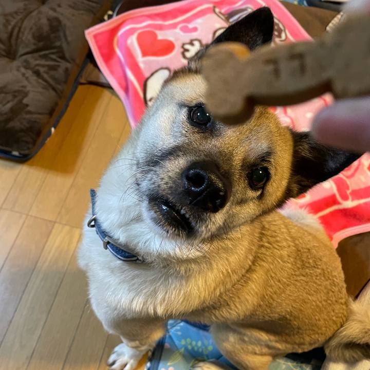 Fc20647a 2a26 493a a862 14234c0bb3bc 1701691255027