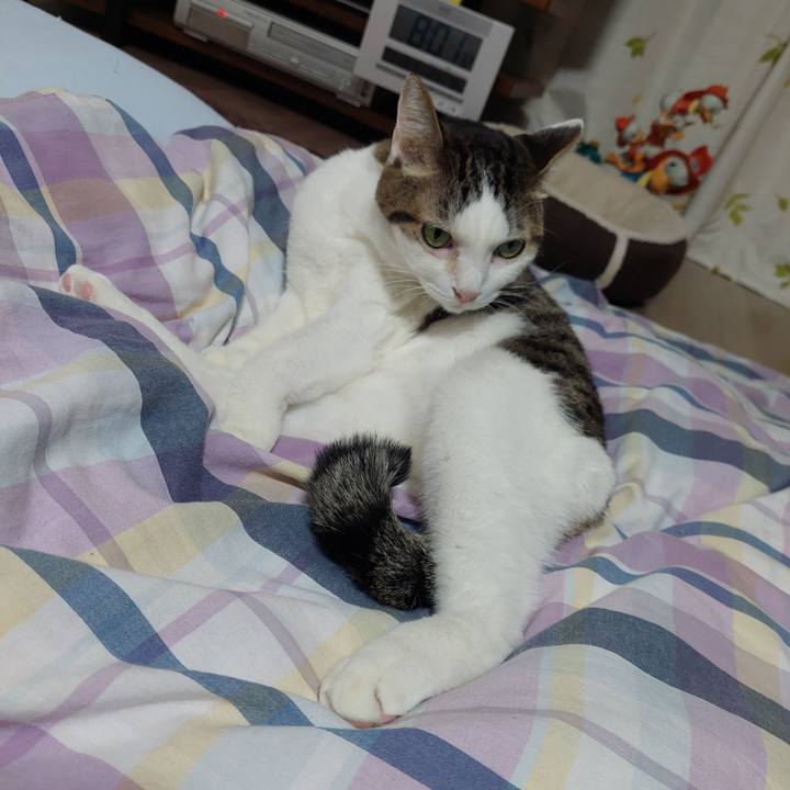 Fc20a67c 9cad 424f 8d39 84915b935376 1636801345508