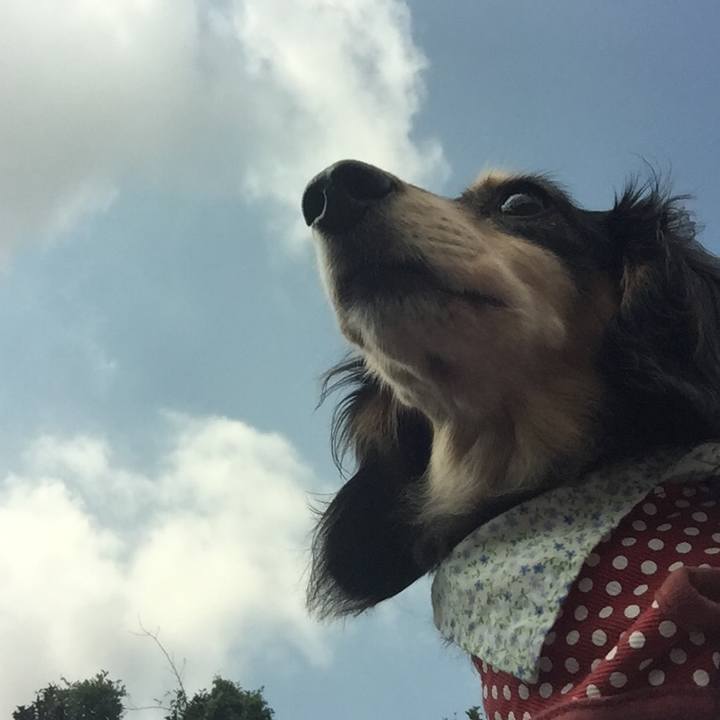 Fc20cdbf e3ca 4f83 be3c 4282dddc67ea 1536106856870