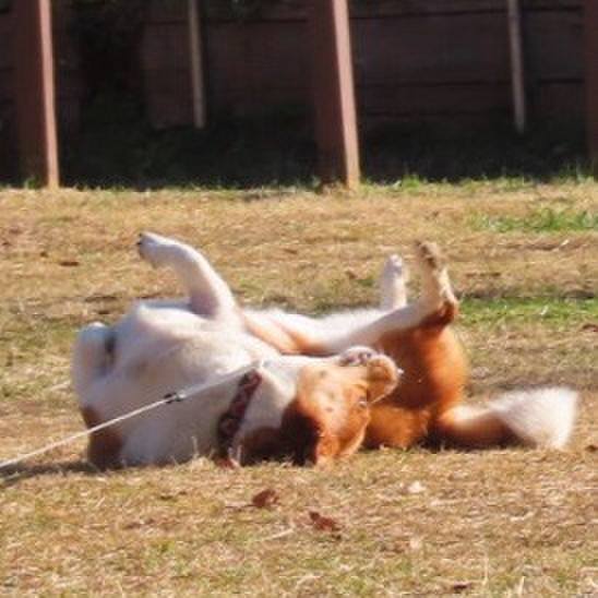 Fc20e505 827b 486e 9fc8 0951252ef30b 1670661170809