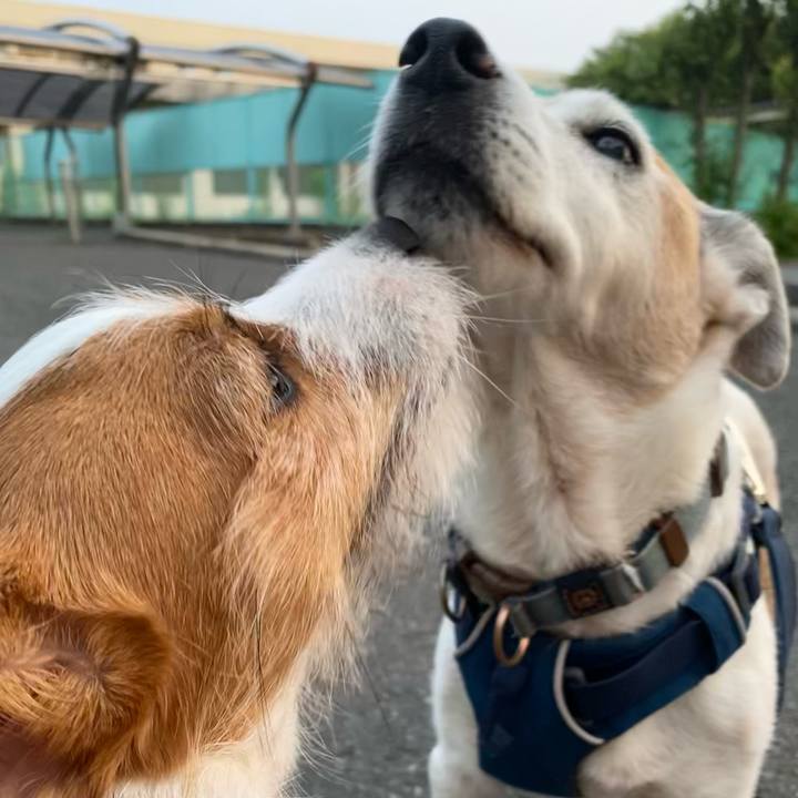 Fc215554 e590 4eee 9a23 c0e6348fbb2f 1655632771120