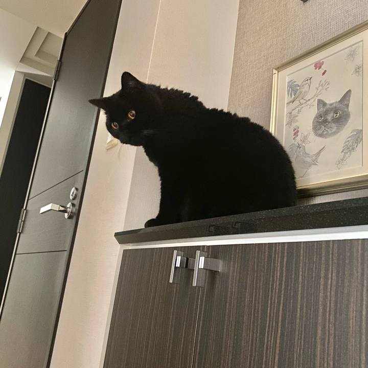 Fc2180ae 32d5 4a0f b189 c6c2c4333fb9 1760705263513