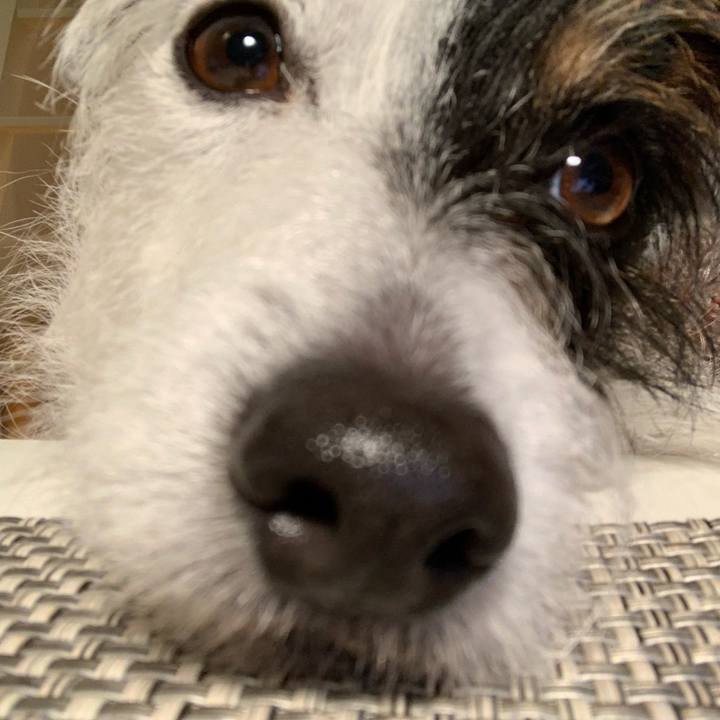 Fc21814e 7239 4806 9fcc 532367a189eb 1613122442635