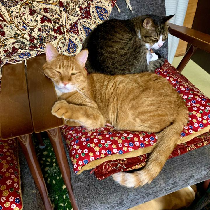 Fc218ce1 1128 48dc a983 4fb216f4cf64 1623680027100