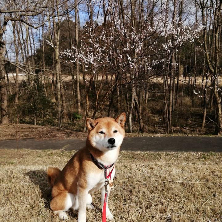 Fc21ca55 1bb2 4f9b 8f4f 4733009ebafe 1678022461446