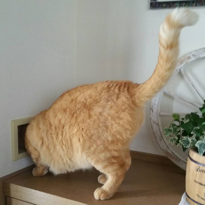 Fc21d837 f005 4390 9b9a 79ba2dfc9751 1517984792570