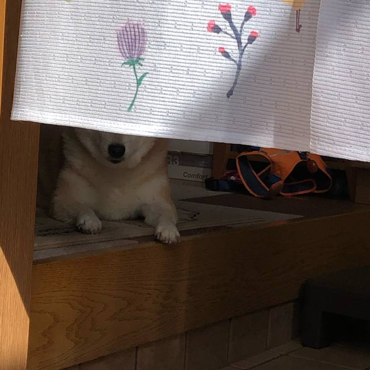 Fc21e544 adaa 40ba ba83 d75c1ad93307 1602039626482