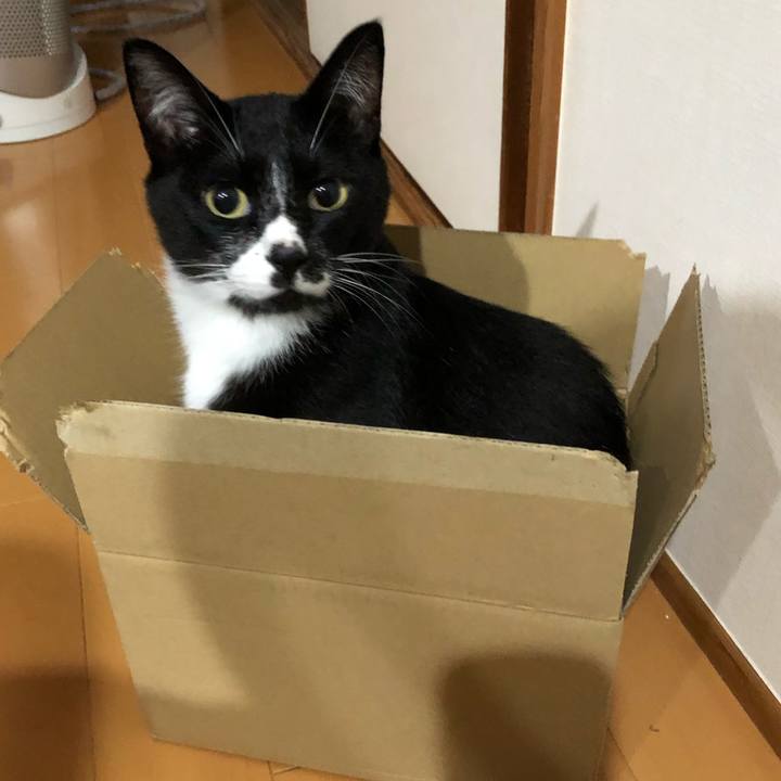 Fc21fd83 df17 47c6 91d2 9775d4bfda66 1596770399303