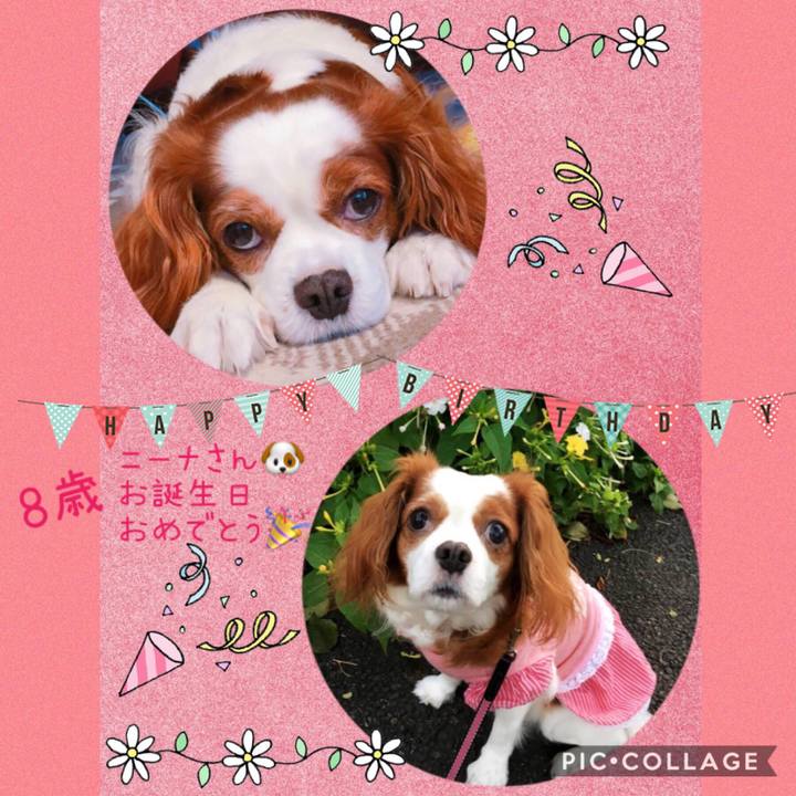 Fc220bc2 a6ff 4917 a599 269a67aa733d 1552051026240