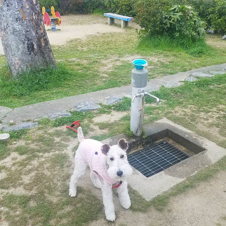 Fc2276d6 45ed 41e1 8ffe 6b5bc8dce41d 1584880025039