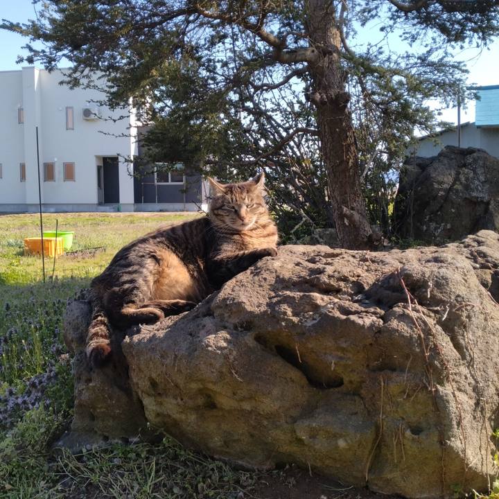 Fc22807e 8fdb 4175 b396 c31ee2b06332 1712736365951