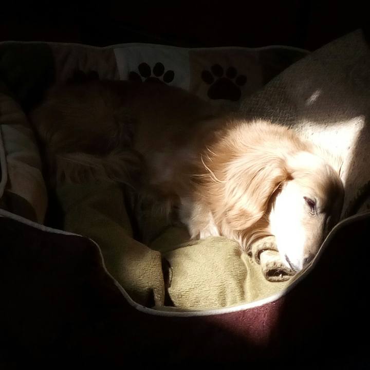 Fc229fca 4a9c 4795 8644 858a74322e05 1553663614510