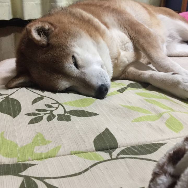 Fc22c78b 335e 4b4e 9bbc 54472f7b3277 1518341258744