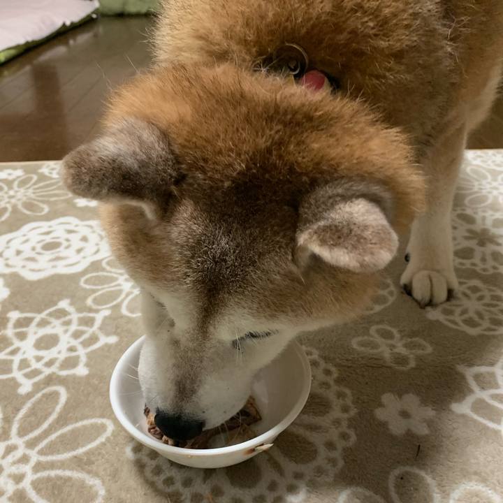 Fc22d3f2 4344 45bc 99ed f094ff0e1780 1661167622887