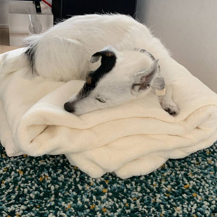 Fc2329c2 e993 4b18 a1df 8a26c45d9e06 1713847764322