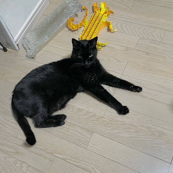 Fc235ccc ae8a 4ff5 a75e 10d194871d34 1705237034520