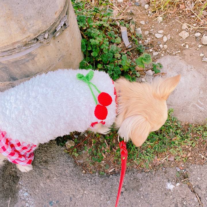 Fc237f78 38e3 4ecd b96f 27374a00ca9a 1643705682767