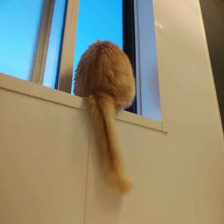 Fc23933a 800e 4646 861a 2ace43cc144b 1643446225956